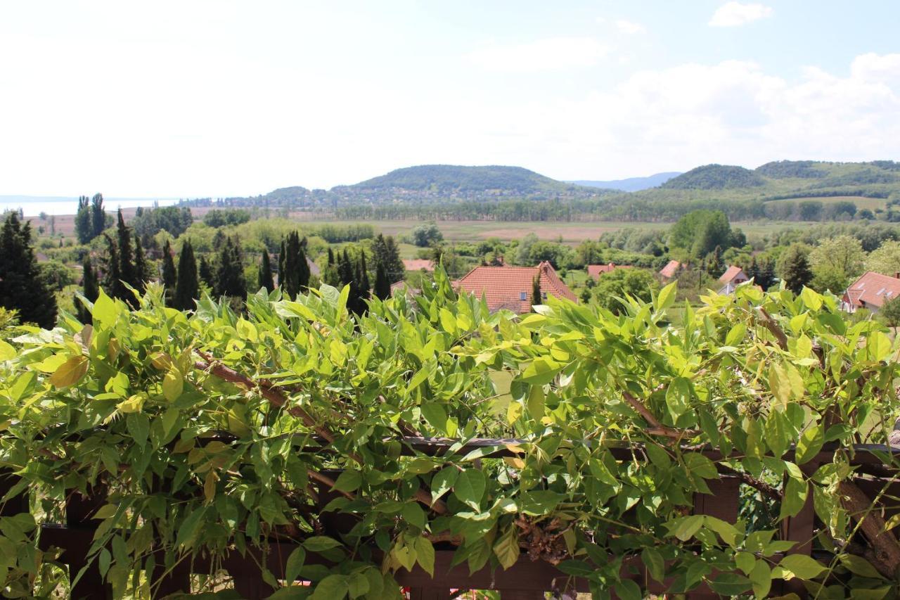 Napsugar Vendeghaz Villa Badacsonytördemic Dış mekan fotoğraf